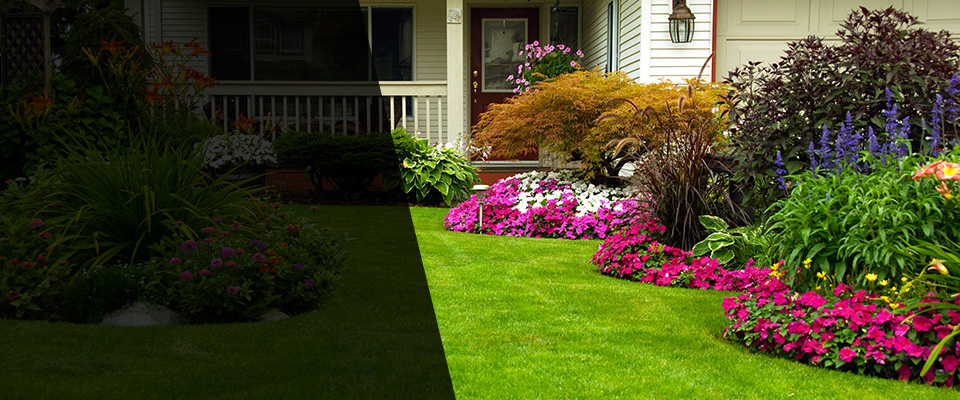 Springfield Landscapers
